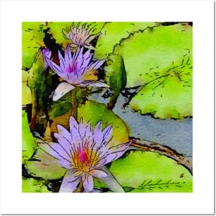 Lavender water lilies Posters and Art